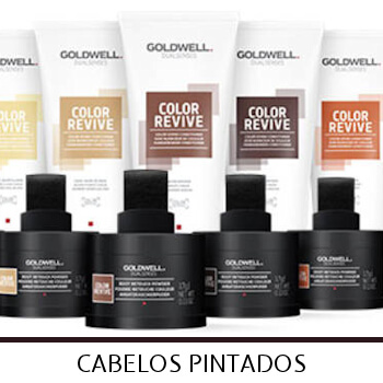 Goldwell Dualsenses Color Revive