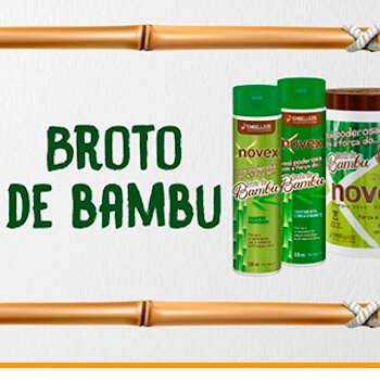 Broto de Bambu