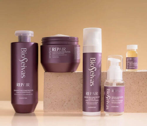 BioSeivas Reconstrução